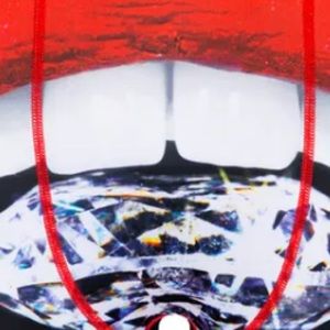 Meet your Posher, Zion